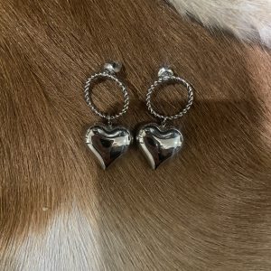 Oorbellen hartjes rond zilver