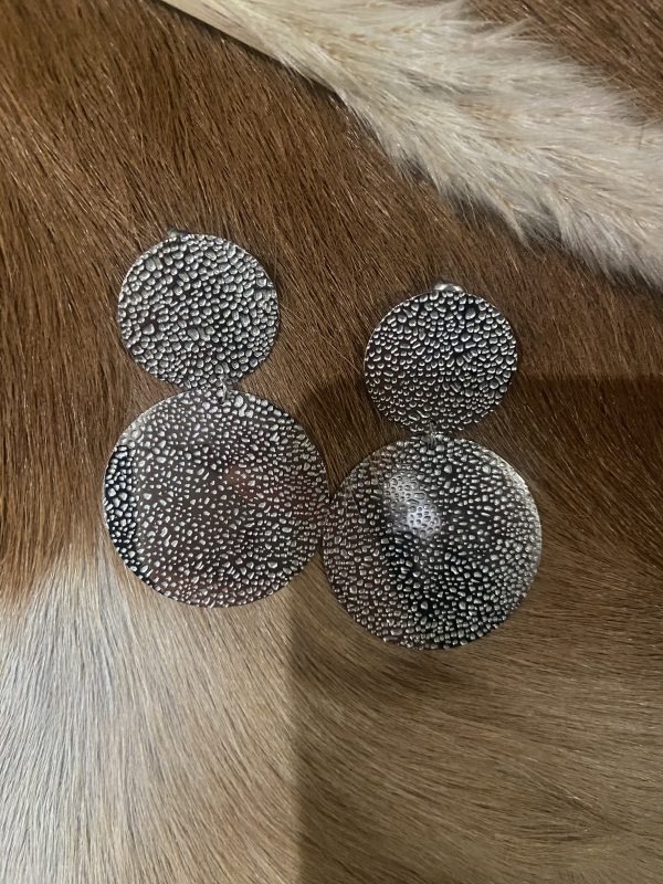 Oorbellen rond zilver